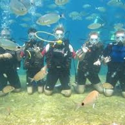 Ölüdeniz Tüplü Dalış